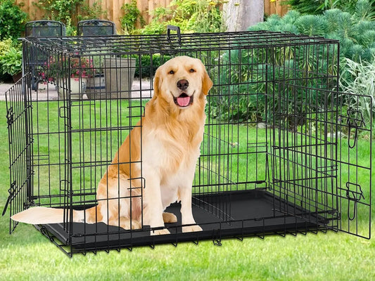 48 Inch Double Door Dog Crate with Divider & Tray, Folding XL XXL Pet Kennel for Indoor Outdoor Use
