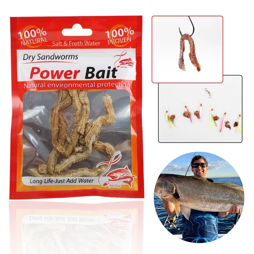 Dry Sandworms Fishing Lures Fishy Smell Lures Lifelike Dry Lugworm Sandworms for Saltwater Freshwater Fishing