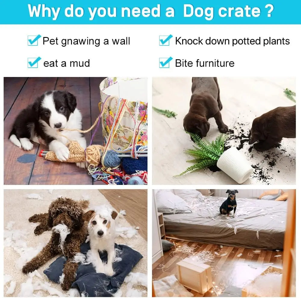 48 Inch Double Door Dog Crate with Divider & Tray, Folding XL XXL Pet Kennel for Indoor Outdoor Use