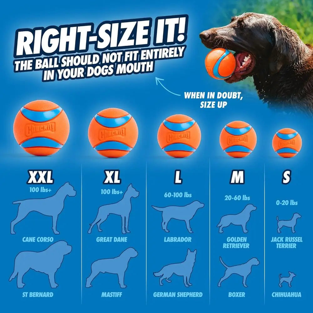Ultra Ball Dog Toy - Medium Bouncy Rubber Balls for Dogs 20-60 lbs - Floating Water Pet Toys - Size Medium - 2.5-inch Diameter -