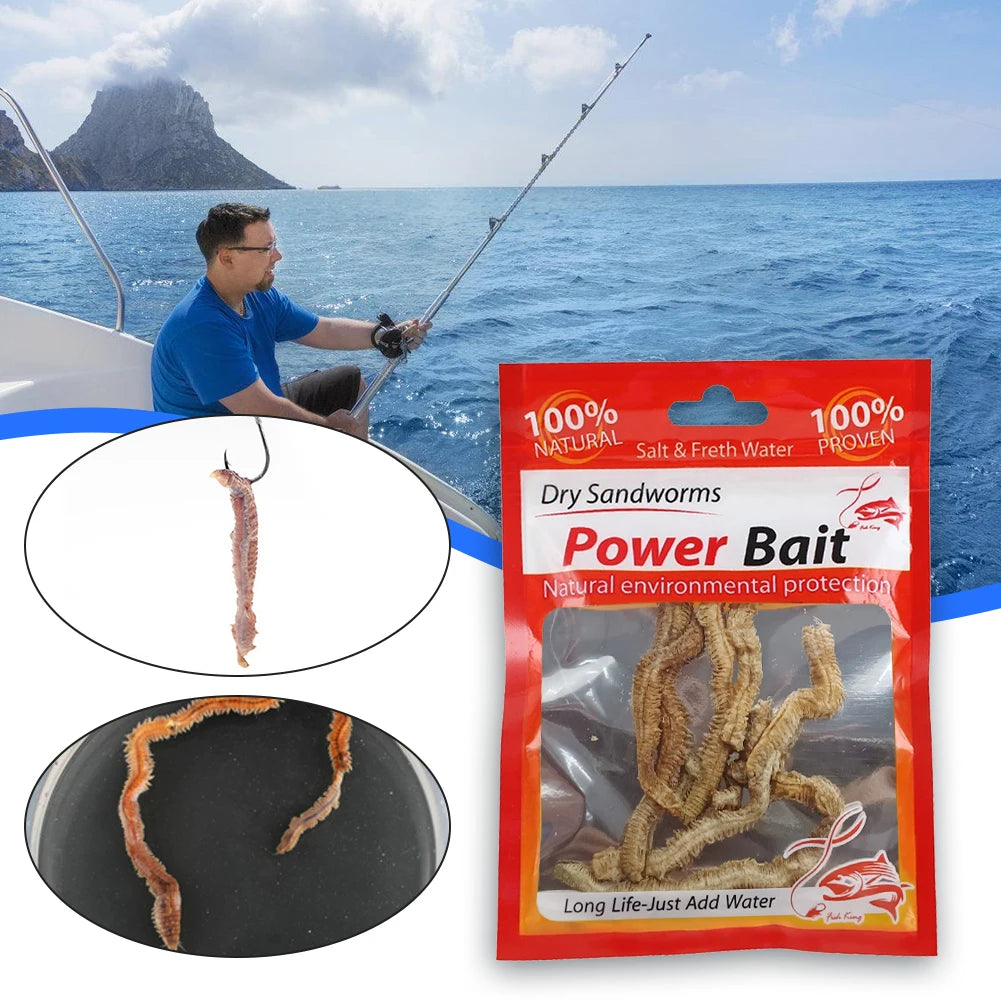 Dry Sandworms Fishing Lures Fishy Smell Lures Lifelike Dry Lugworm Sandworms for Saltwater Freshwater Fishing